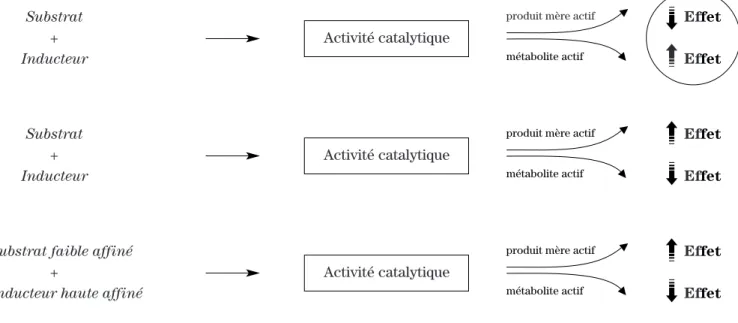 Figure 1. Schéma représentant les conséquences des interactions médicamenteuses sur l’effet pharmacologique suite à l’administration concomitante de médicaments pouvant affecter l’activité catalytique de la même isoenzyme.