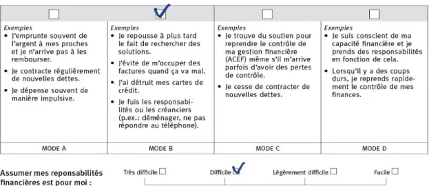 Figure 2. Exemple d’un item du questionnaire FAB  