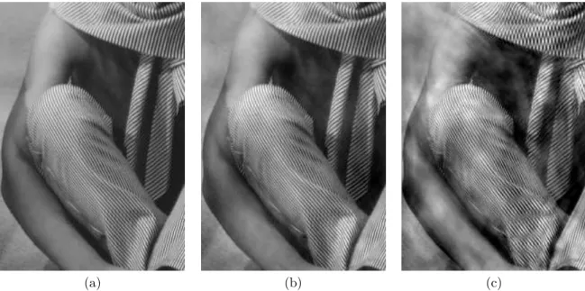 Figure 9: Barbara image and its range by W ◦ W ∗ . (b) ψ b as in H2 (PSNR=27.86 dB). (c) ψ b = | ψ| b (PSNR=21.21 dB).