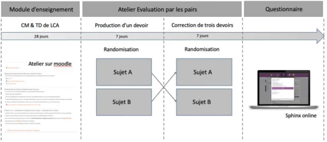 Figure 1. Description des différentes phases du protocole 