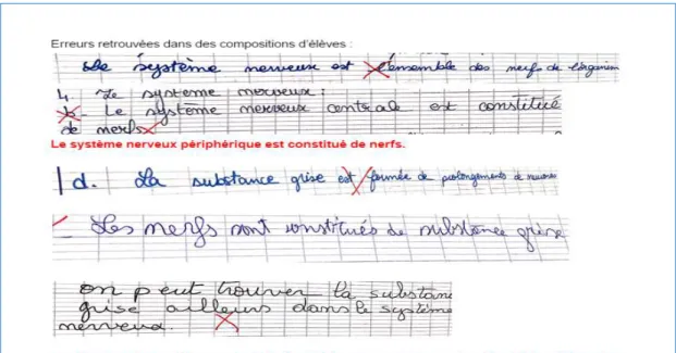 Figure 2 : Extrait de la rubrique « Exploitation des erreurs » de la Plateforme d’Accompagnement  Numérique et Interactive (PANI) incluant les feedbacks de l’enseignant 