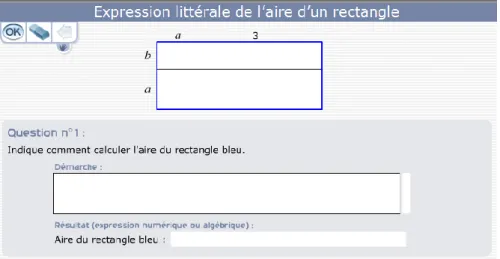 Figure 7 : « Expression littérale de l’aire d’un rectangle » 