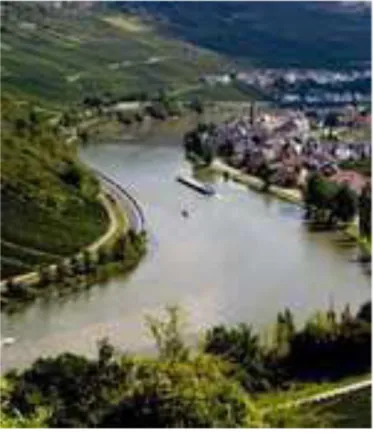 Figure 4: Photo d'une rivière 