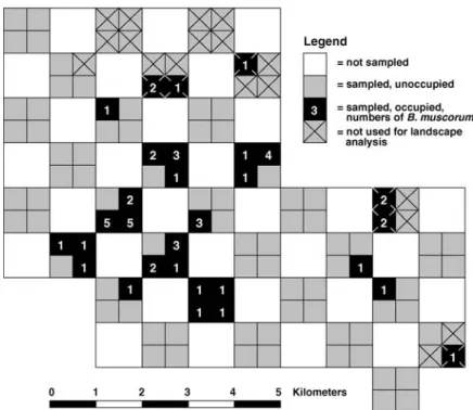 Figure 2. Distribution patterns of Bombus muscorum within the ‘Amo¨neburger Becken’. Sampling units are underlayed in grey; presence of Bombus muscorum is indicated by black colour