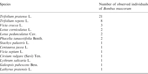 Table 2. Plant species utilized by Bombus muscorum and number of individuals observed on each plant species.