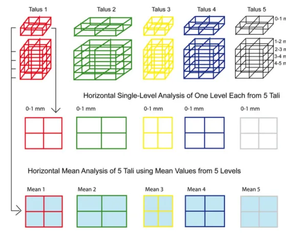 Fig. 5 Horizontal single layer analysis and mean value analysis represented schematically