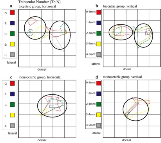 Fig. 8 Summation schemes for the numerical parameter trabecular number (Tb.N). Like BV/TV, the bicentric