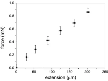 Fig. 5. Force extension curve of a wing imaginal disc. The extension is taken starting from the relaxed state