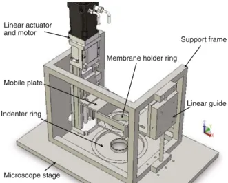 FIGURE 1. Schematic of the cell stretcher. The elastic membrane with cultured cells is assembled in the MHR