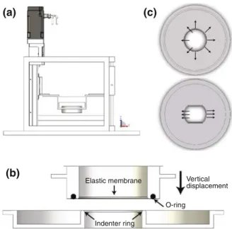 FIGURE 2. (a) Side view of the cell stretcher. (b) Cross- Cross-sectional view of the MHR and the IR
