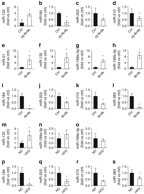 Fig. 2 Changes in miRNA expression in islets of type 2 diabetes animal models. The expression level of the indicated miRNAs was measured by  qRT-PCR in pancreatic islets of young prediabetic (a – d) and diabetic (e – l) db/db mice vs age-matched control mi