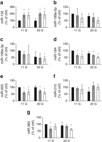 Fig. 3 Effect of chronically elevated glucose and palmitate on the level of islet miRNAs differentially expressed in type 2 diabetes animal models