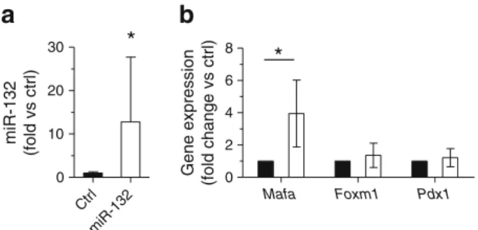 Fig. 8 Effect of mir-132 overexpression on the level of key beta cell transcription factors