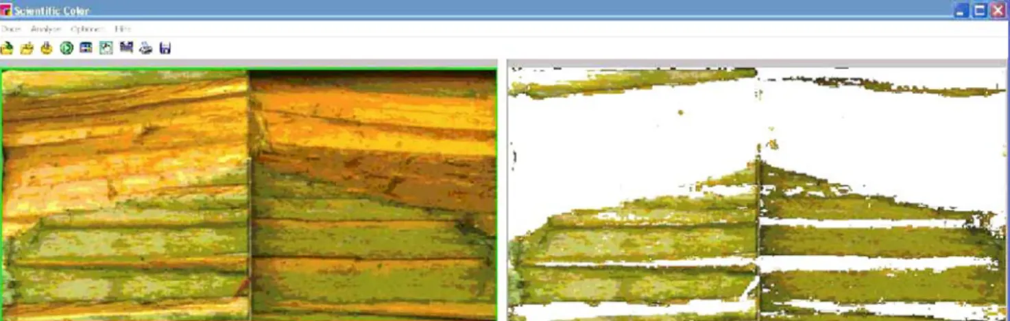 Fig. 1 Program window in DatInf ® Scientific Color; left the two stained parts of a shear test specimen; right the analysed surface with white areas indicating wood failure of 55%