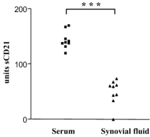 Fig. 1 Soluble CD21 concentration in synovial ﬂuid and sera. Sera and synovial ﬂuid were tested for sCD21 concentration by ELISA.