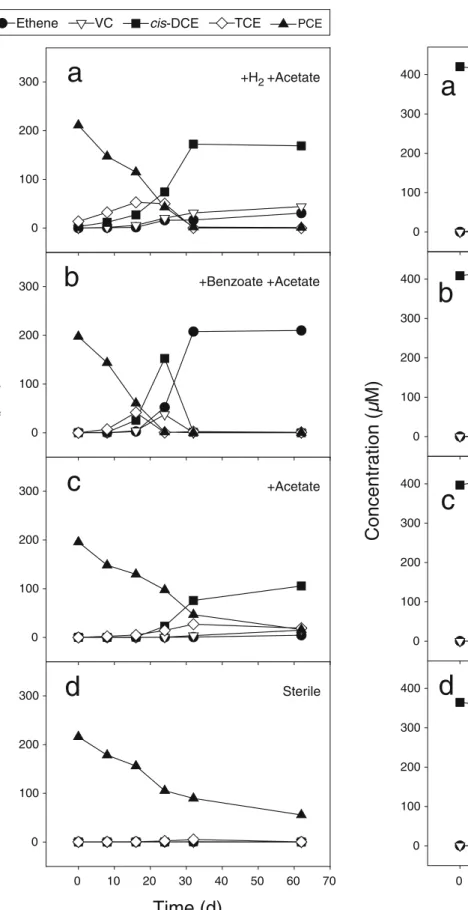 Fig. 1 Dechlorination products of PCE in cultures amended with hydrogen and acetate (a), benzoate and acetate (b) or acetate (c)