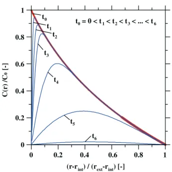 Figure 2. The logarithmic tracer concentration proﬁle according to the leading term of Equation (12a) or Equation (15) after reaching the steady state in the  through-diffusion phase