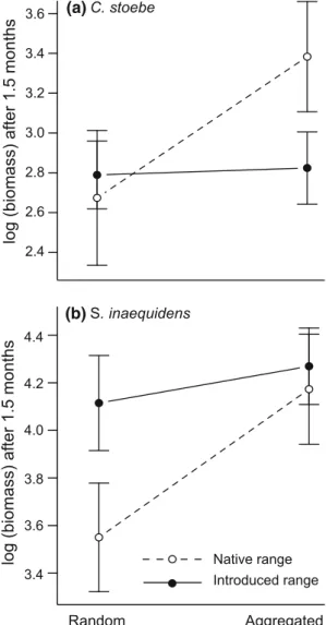 Fig. 3 Standing biomass of genotypes from native and introduced ranges after 1.5 months of a C