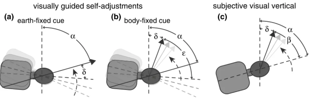 Fig. 1  Schematic illustrations of the visually guided self-adjust- self-adjust-ments when providing an earth-fixed (a) or a body-fixed (b) cue  and for the SVV paradigm (c)