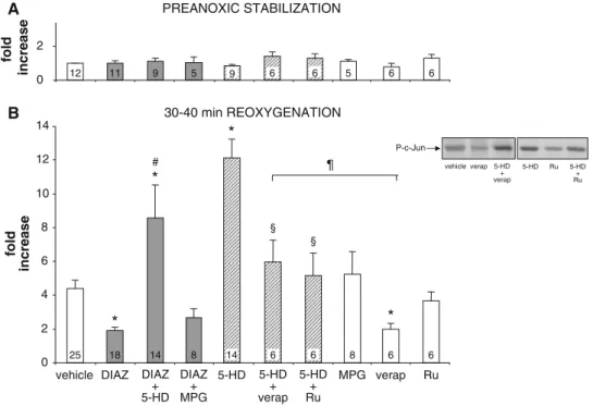 Fig. 3 Pharmacological modulation of JNK activity in the embryonic ventricle during preanoxic stabilization (a) and after 30–40 min reoxygenation (b)