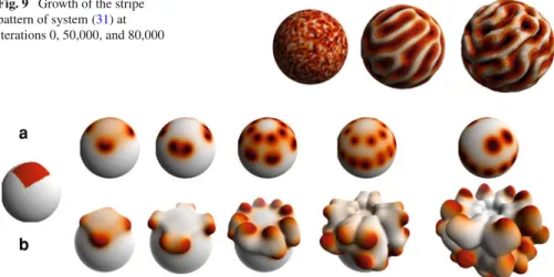 Fig. 9 Growth of the stripe pattern of system (31) at iterations 0, 50,000, and 80,000
