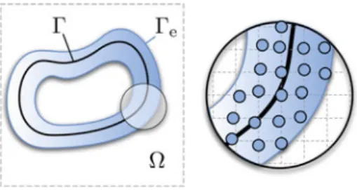 Fig. 1 Extension of the geometry  into  . Both the level-set function ϕ and the concentrations c s are defined in the extended geometry  e