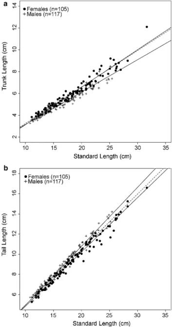 Fig. 3 a Trunk and b tail length allometry in sexually-mature Syngnathus typhle. Regressions of combined male and female data are indicated as dashed lines for illustrative purposes