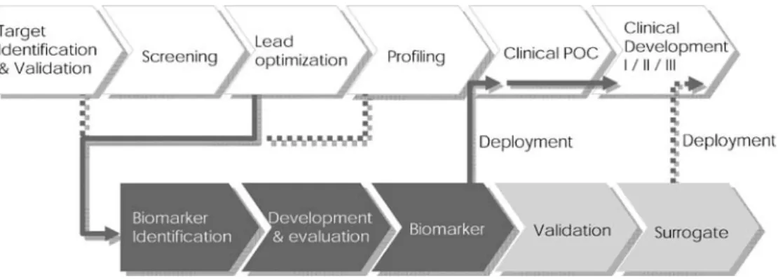 Fig. 6 (Imaging) biomarker development chain. Biomarkers should be available for  deploy-ment when the drug enters  clin-ical trials, e.g., for clinclin-ical proof-of-concept (POC) studies, requiring timely initiation of the biomarker development process.
