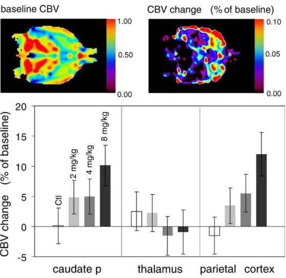 Fig. 3 Cholinergic activation in rat brain. Oral administration of the AChE inhibitor rivastigmin leads to region-specific increases of local CBV