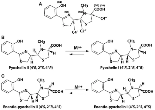 Fig. 1 Structural configurations of Pch and E-Pch isomers.
