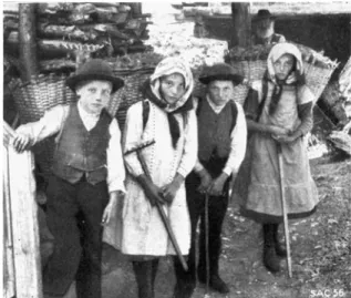 Fig. 1 ‘‘Return from forest litter collecting’’, picture taken in the 1920s in Eggwald, Zeneggen, canton of Valais, Switzerland (reproduced in Stebler 1922)