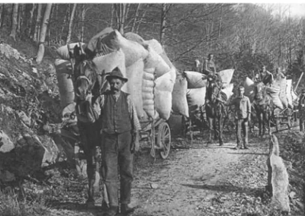 Fig. 4 Litter collecting day in Betlis (canton St. Gallen, Switzerland): In the evening, the beech leaves harvested are carried back home by horse and wagon (reproduced in Brockmann-Jerosch 1928/30)