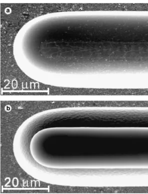Fig. 2. (a) Laser trace at the bottom of a groove illustrating the good precision of the alignment of the beam