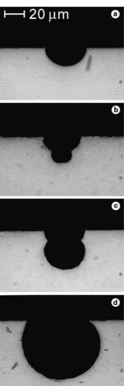 Figure 4 presents cross sections of four diﬀerent cavity shapes. A single step cavity produced by etching of a ﬂat surface is shown in Figure 4(a)