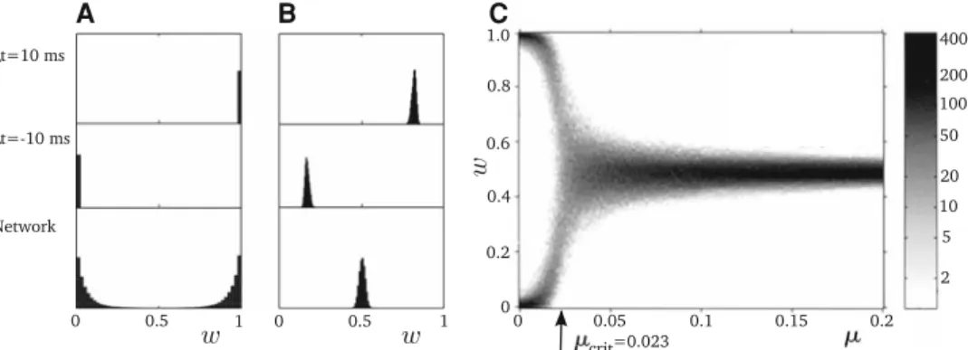 Fig. 5 a Histogram showing the equilibrium distribution of synaptic efficacies using the additive STDP rule with τ = 10 ms, α = 1 