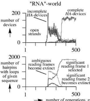 Figure 12. Computer results. The RNA-world. Open strands, hairpins, HA-devices and the reading frame.