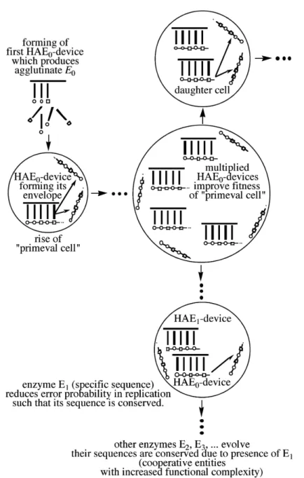 Figure 10. HAE-devices that produce envelopes as self made compartments. Division when amount larger than a critical value