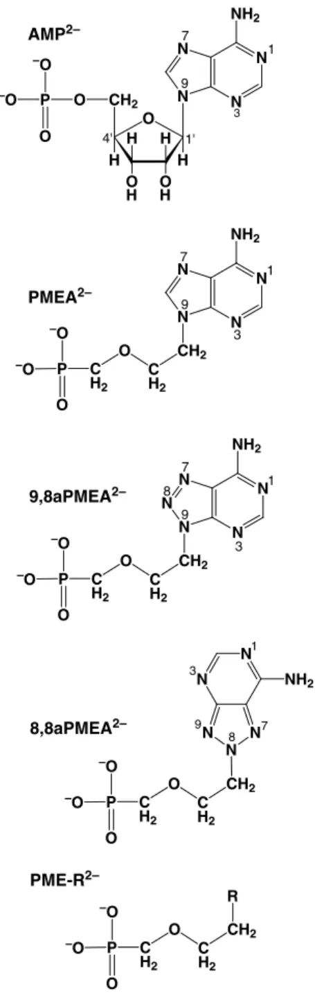 Fig. 1 Chemical structures of adenosine 5¢-monophosphate (AMP 2 ) and of the dianions of  9-[2-(phosphonometh-oxy)ethyl]adenine (PMEA 2 =Adefovir) [4, 5, 6],  9-[2-(phospho-nomethoxy)ethyl]-8-azaadenine (9,8aPMEA 2 ) and of  8-[2-(phos-phonomethoxy)ethyl]-