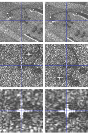 Fig. 4 Both ascending-orbit corner reflectors as seen in a slant-range image, at three zoom levels