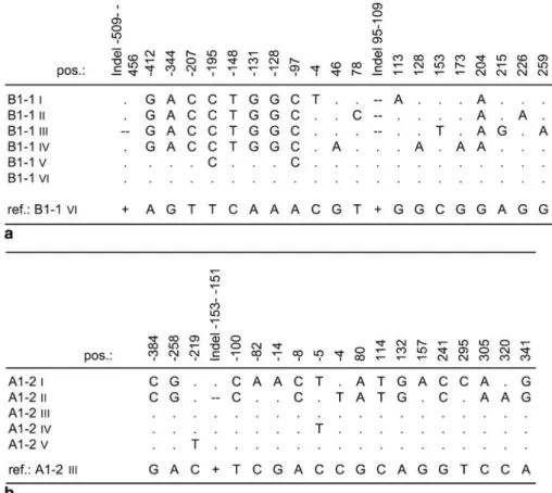 Fig. 2 Informative sites are shown from six alleles of the HMW Glu-B1-1 subunit genes, named B1-1I to B1-1VI (a), and five alleles of the HMW  Glu-2 subunit genes, named  A1-2I to A1-2V (b)