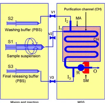 Fig. 4 Top view of the experimental setup (see the text for the detailed sequence of the sample concentration and purification)