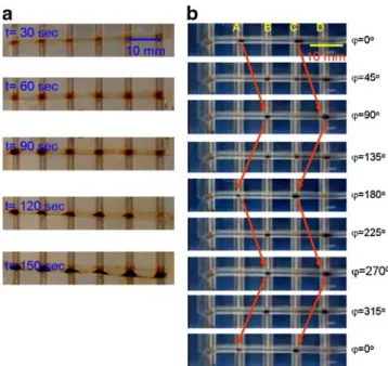 Figure 5 shows the magnetic particle trapping in a fluidic channel mounted on top of the MSS