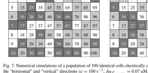 Fig. 7. Numerical simulations of a population of 100 identical cells electrically coupled to their first neighbors in the “horizontal” and “vertical” directions (g = 100 s − 1 , J PLC