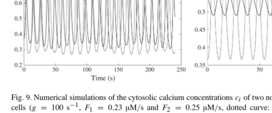 Fig. 9. Numerical simulations of the cytosolic calcium concentrations c i of two non-identical electrically coupled cells (g = 100 s −1 , F 1 = 0 