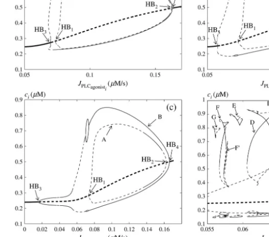 Fig. 3. Bifurcation diagrams for the cytosolic calcium concentration c i of two identical electrically coupled cells.