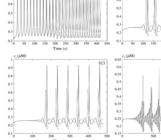 Fig. 4. Numerical simulations of the cytosolic calcium concentrations c i of two identical electrically coupled cells (g = 100 s − 1 , solid and dotted curves)