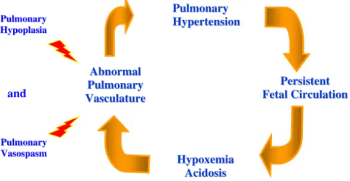 Fig. 1 Physiopathology of the persistent pulmonary hypertension (PPHT) in CDH