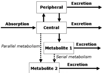 Fig. 1 Schematic diagram of the toxicokinetic model