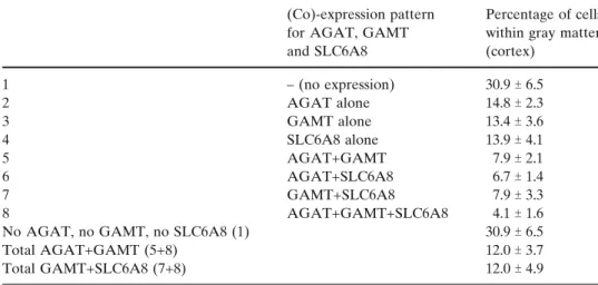 Table 3 Dissociated expression of AGAT, GAMT and SLC6A8 in the telencephalic cortex of the rat (grey matter)
