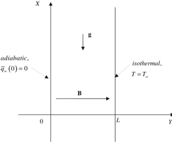 Fig. 1 Coordinate system, applied magnetic filed B, and adiabatic and isothermal boundary conditions at Y = 0 and Y = L, respectively